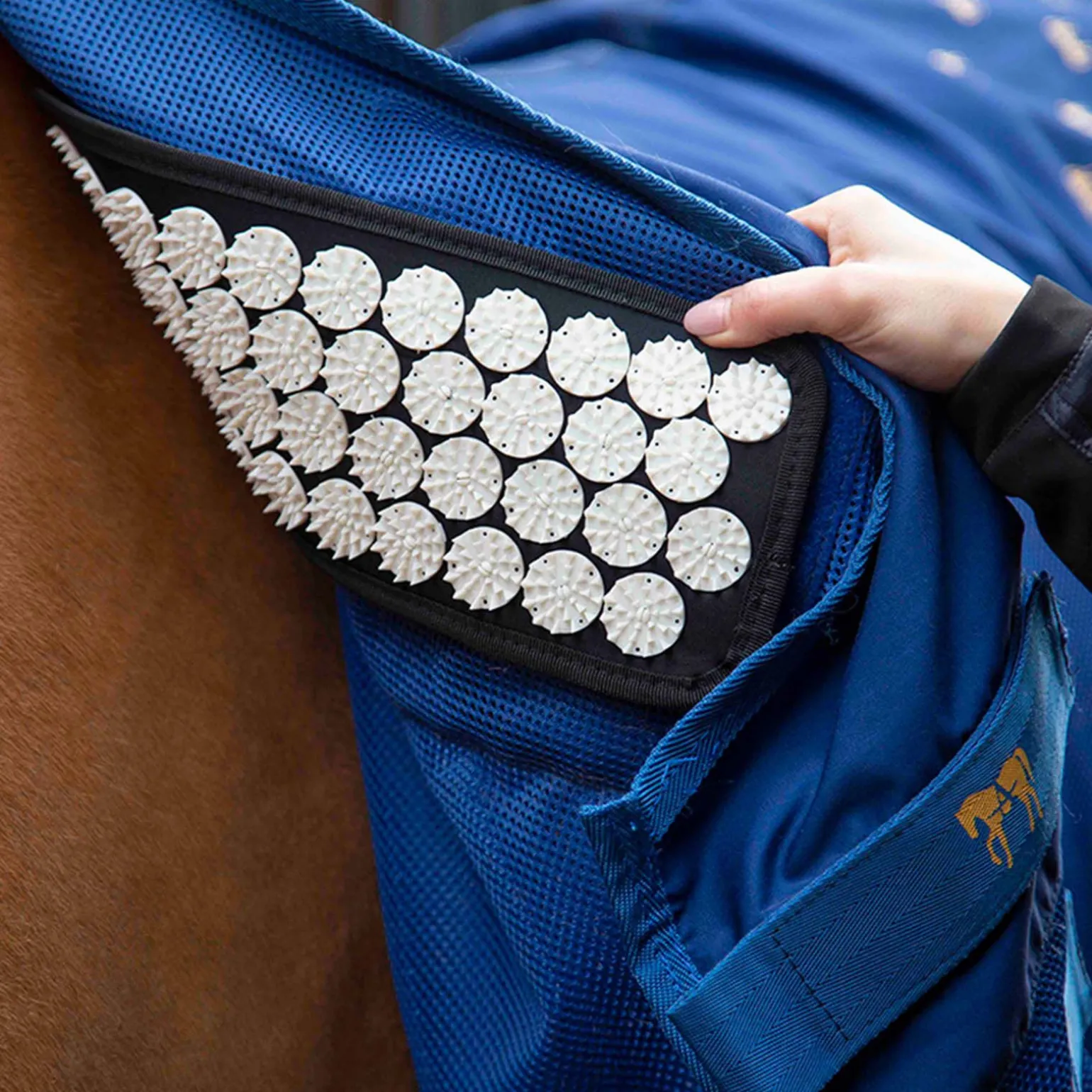 Accuhorsemat Cooler