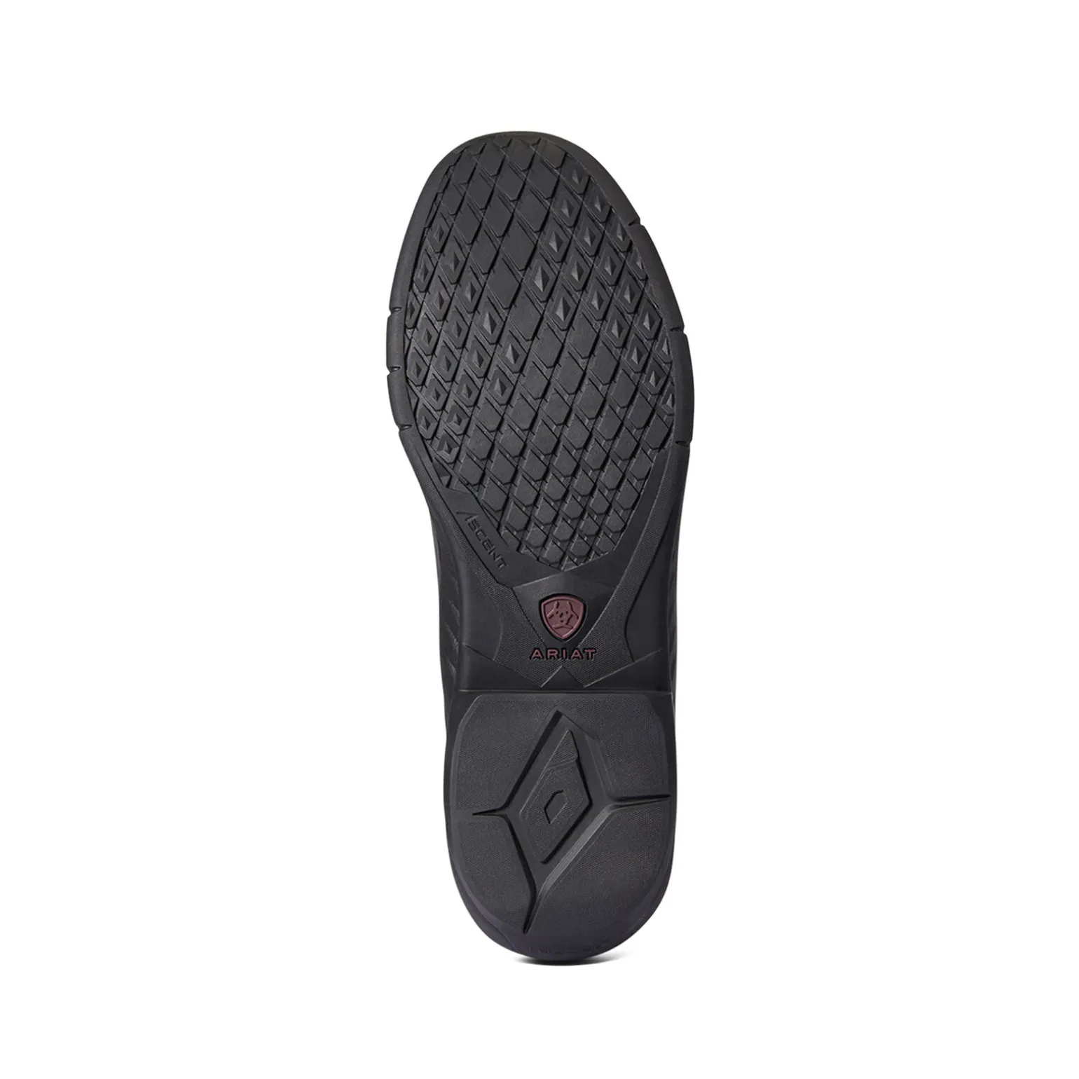 Ariat Ascent H2O jodhpursko, herre