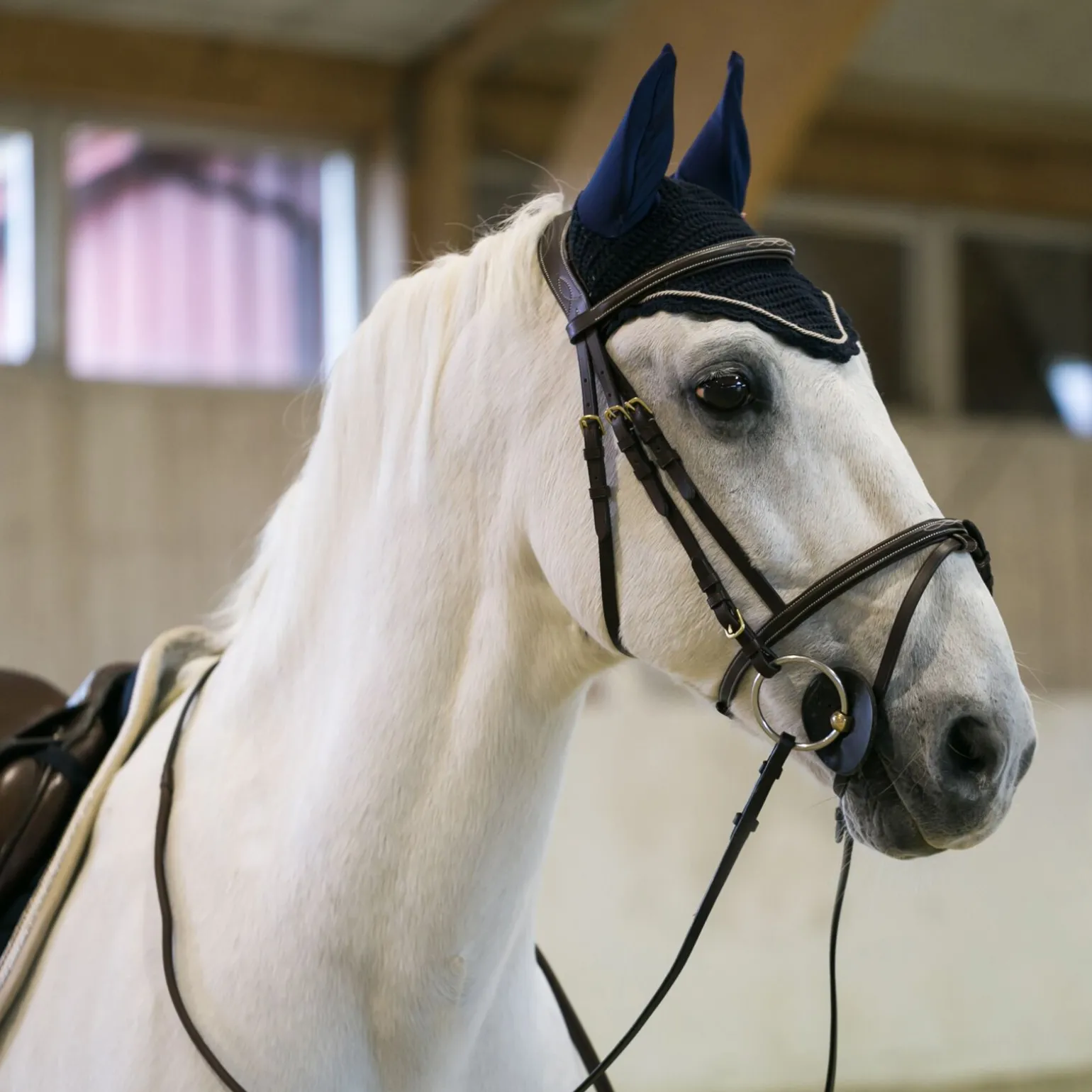 B Vertigo Sam ridehette