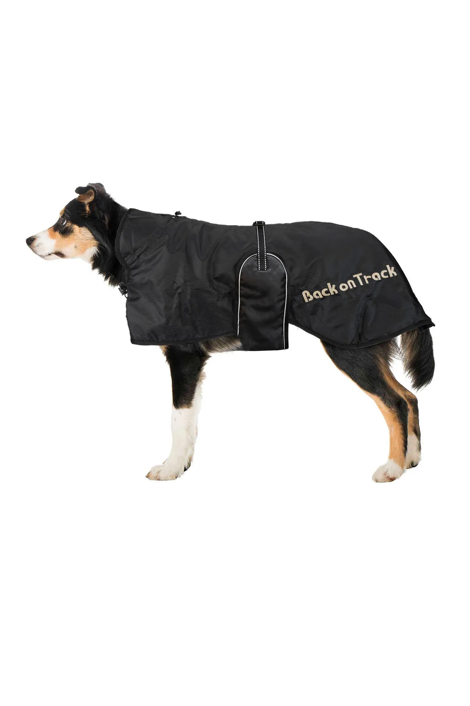Back on Track hundedekken (43-59)
