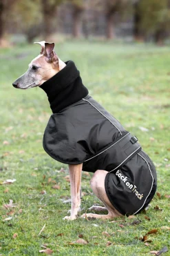 Back on Track Whippet hundedekken, XS-M