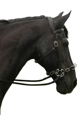 F.R.A. Freedom Riding Articles Caval komplett cavemore hodelag (system 2) i engelsk lær, shire