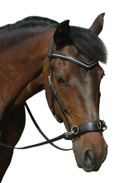 F.R.A. Freedom Riding Articles Wendy B kapsun, bitless bridle, lærtøyler med klips