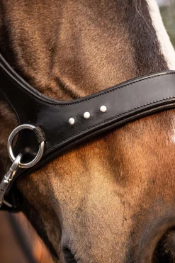 F.R.A. Freedom Riding Articles Glory sidepull med tøyler (system 3), svart