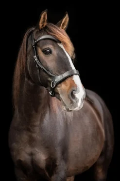 F.R.A. Freedom Riding Articles Glory sidepull med tøyler (system 3), svart