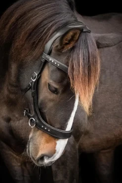 F.R.A. Freedom Riding Articles Glory sidepull med tøyler (system 3), svart