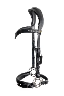 F.R.A. Freedom Riding Articles Glory hodelag Hackamore med tøyler (system 2), svart