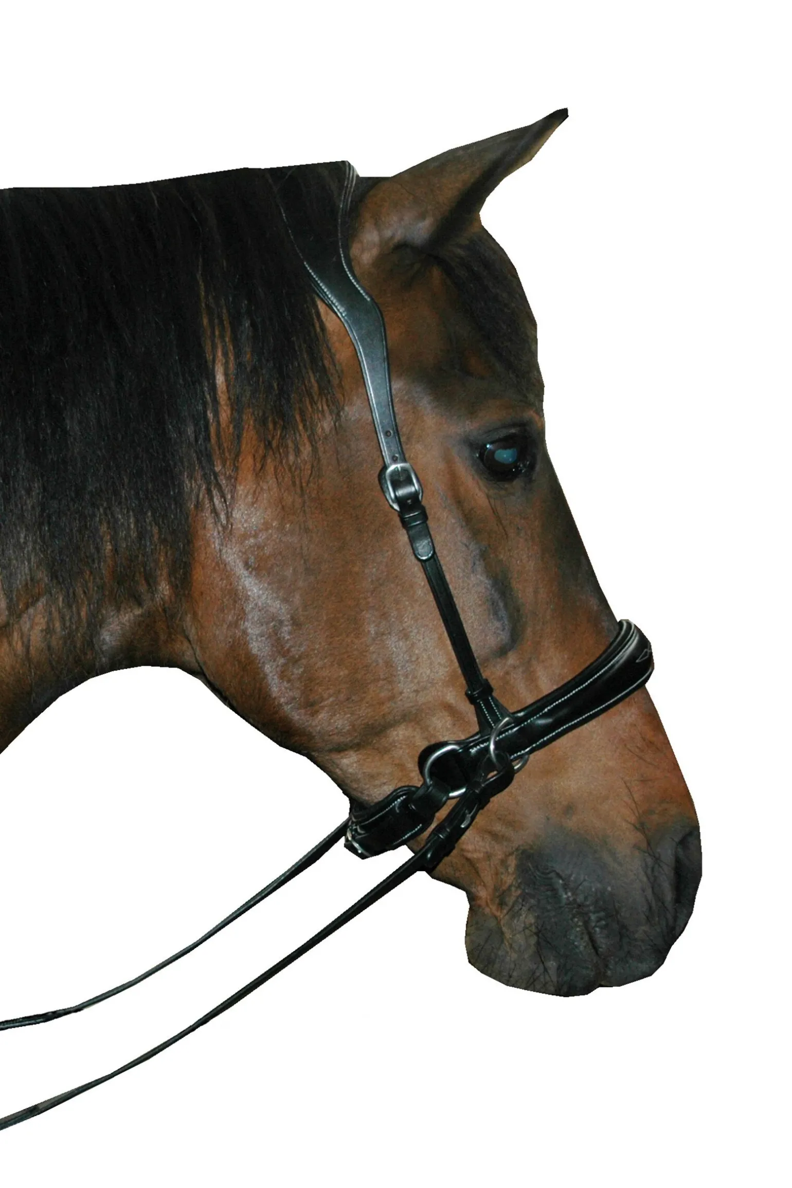 F.R.A. Freedom Riding Articles Alizée Mistral bittløst hodelag med tøyler (system 3)
