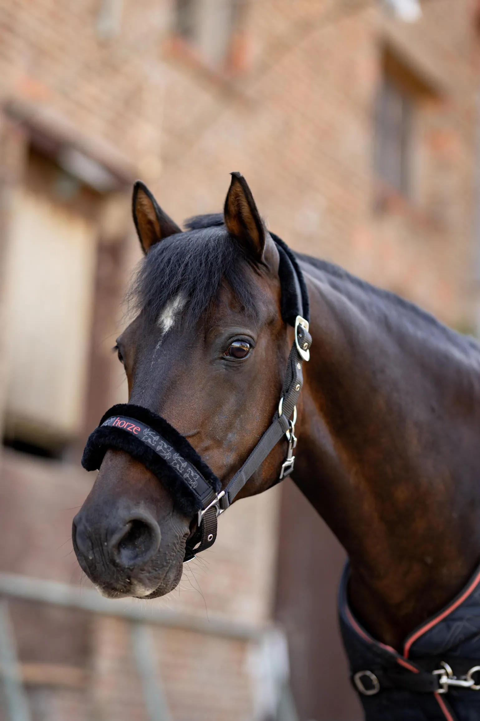 Grimesett til ponni Horze Pegasus