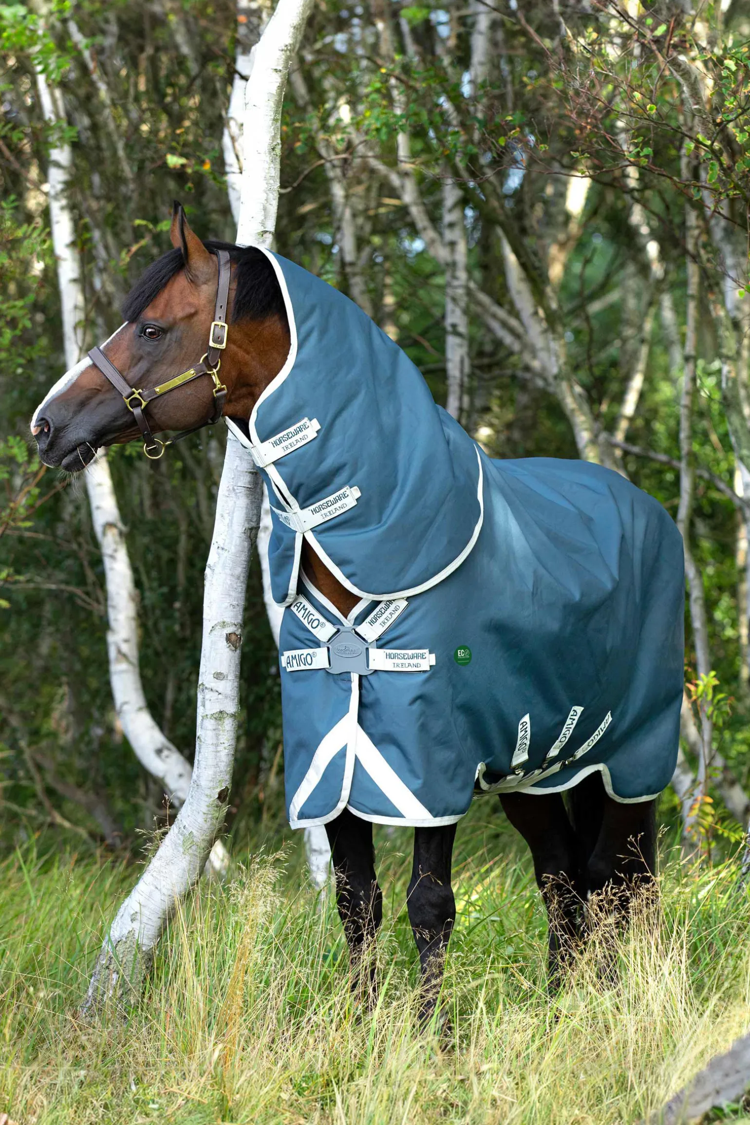 Horseware Amigo AmEco 12 Plus utedekken med avtakbar nakkedel, 0g
