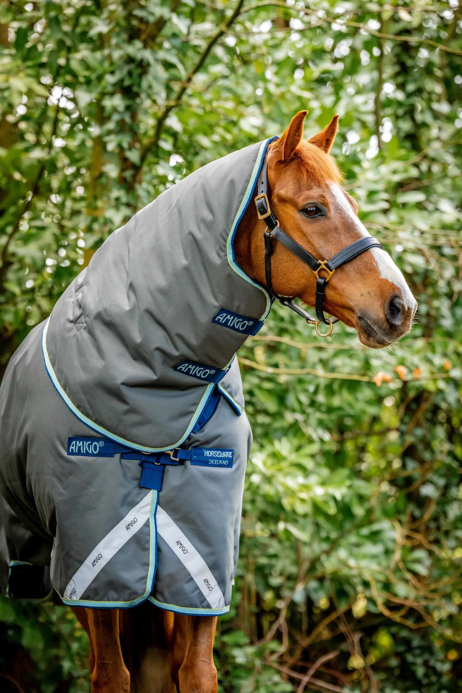 Horseware Amigo Bravo 12 Plus utedekken med avtakbar hals, 400g