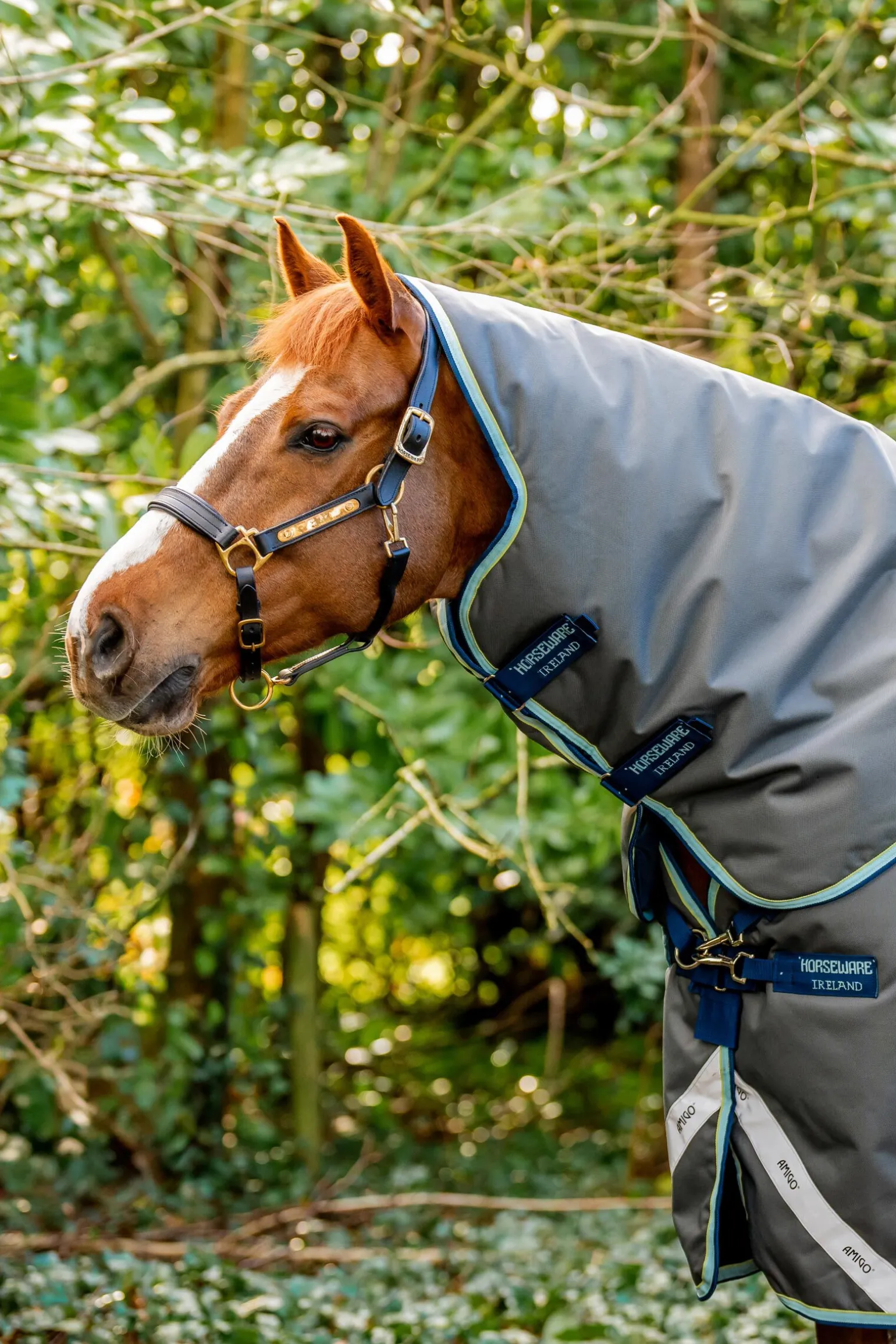 Horseware Amigo Bravo 12 Plus utedekken med avtakbar hals, 400g