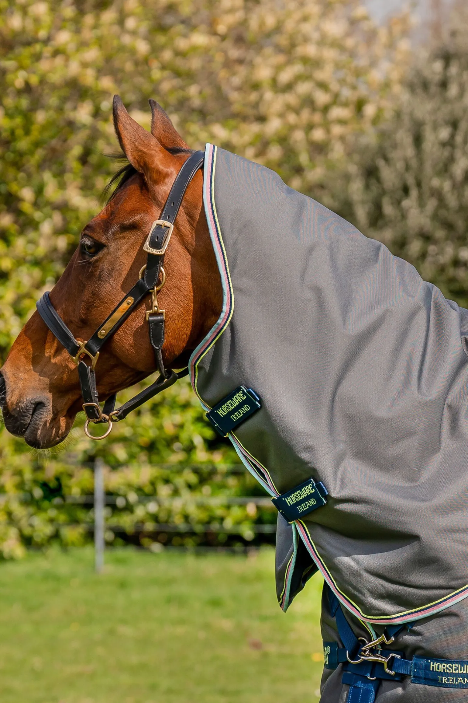 Horseware Amigo Bravo 12 Plus utedekken, 250g