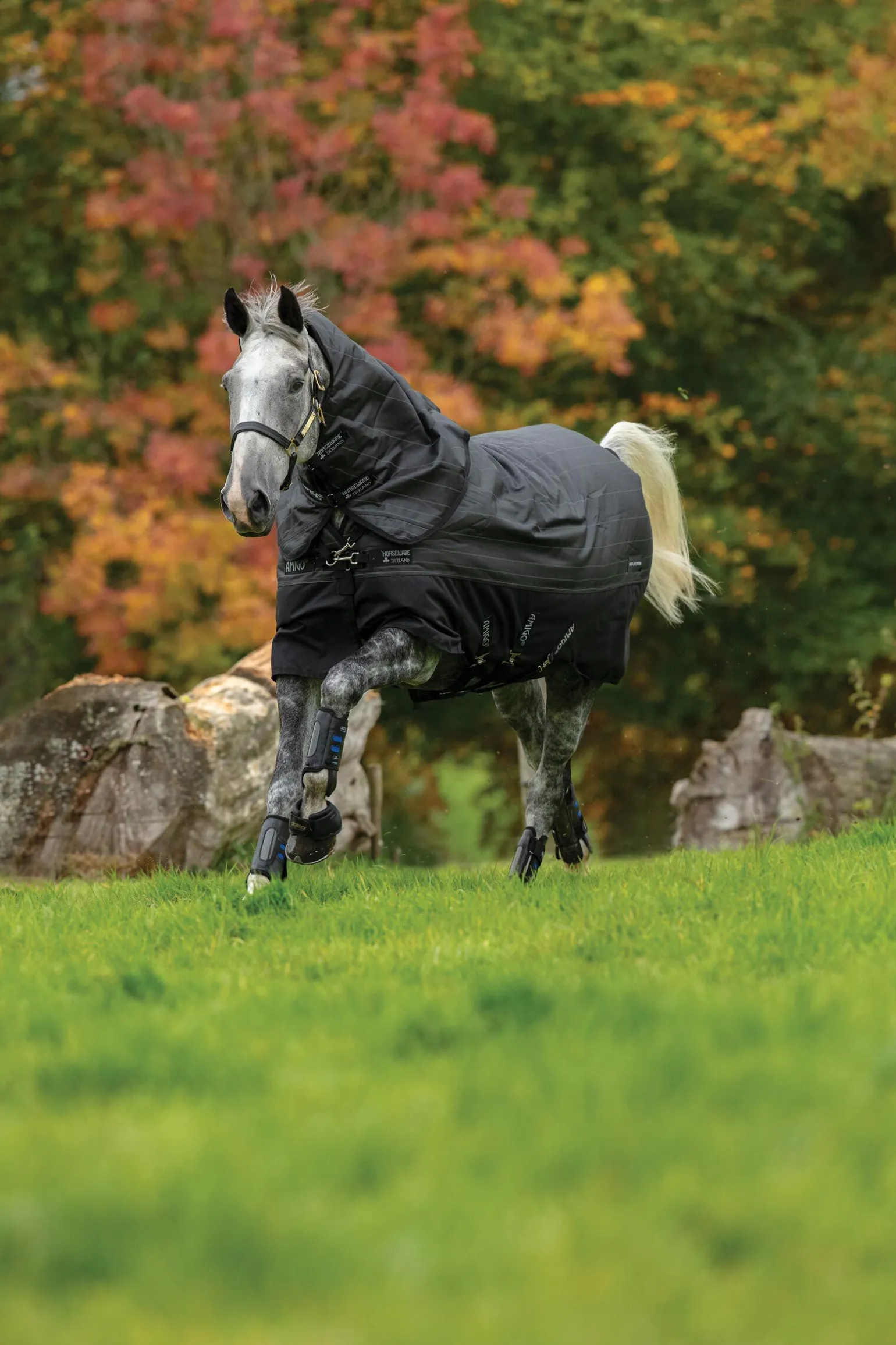 Horseware Amigo Bravo 12 Reflectech Plus utedekken med avtakbar hals, 250g
