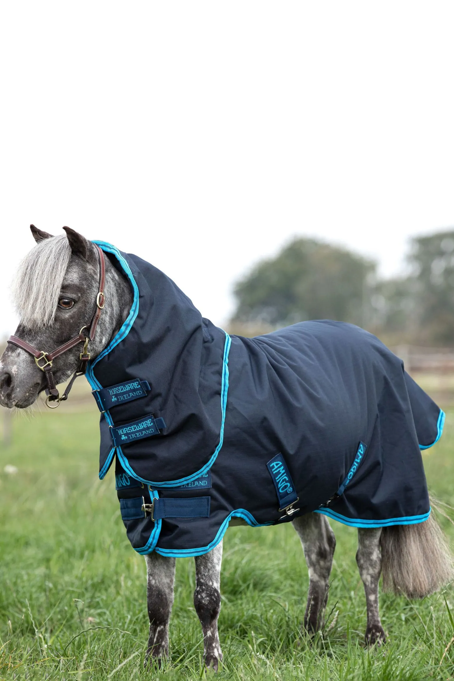 Horseware Amigo Hero 6 Petite Plus utedekken med avtakbar hals, 200 gram