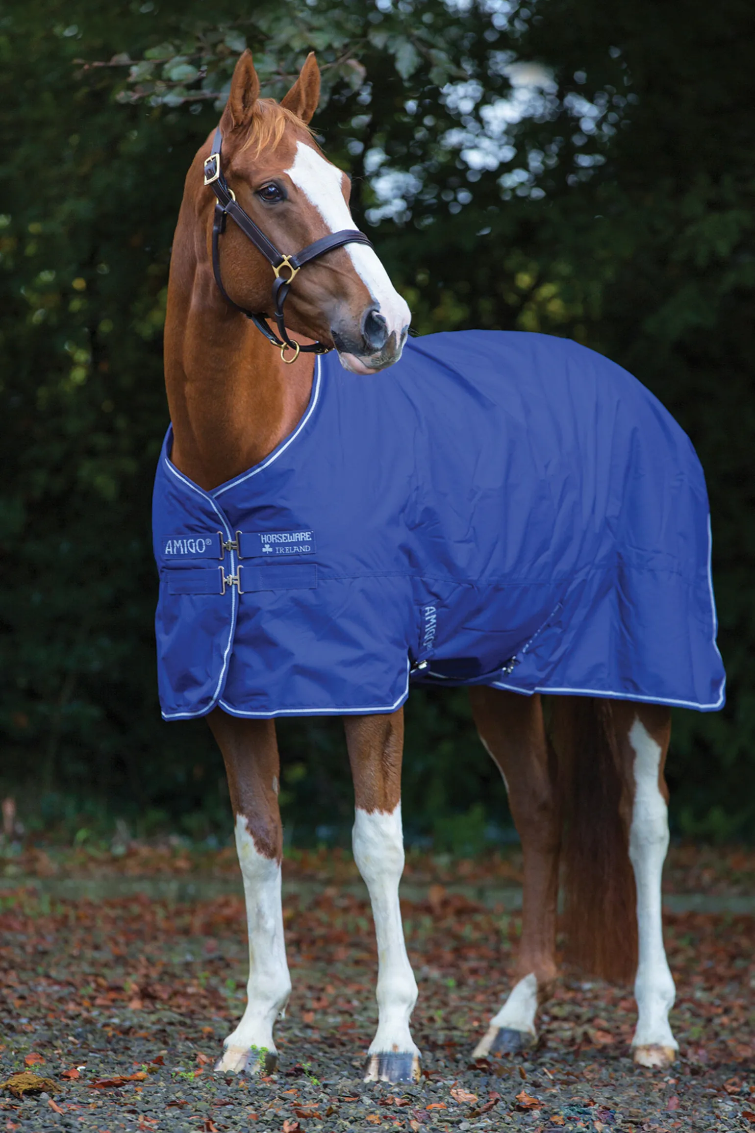 Horseware Amigo Hero 900 Plus Medium utedekken, 200g
