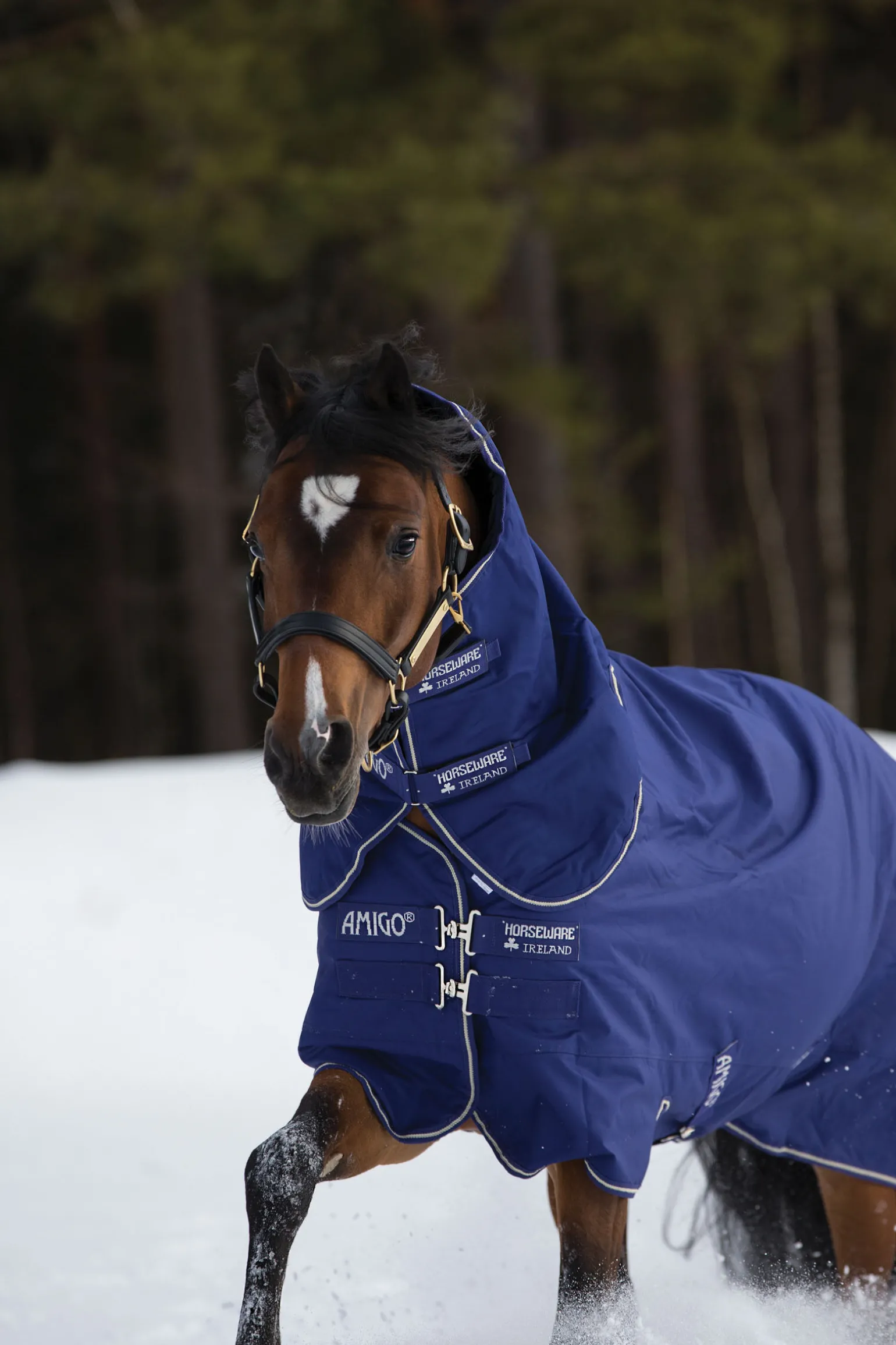 Horseware Amigo Hero 900 Plus Medium utedekken, 200g
