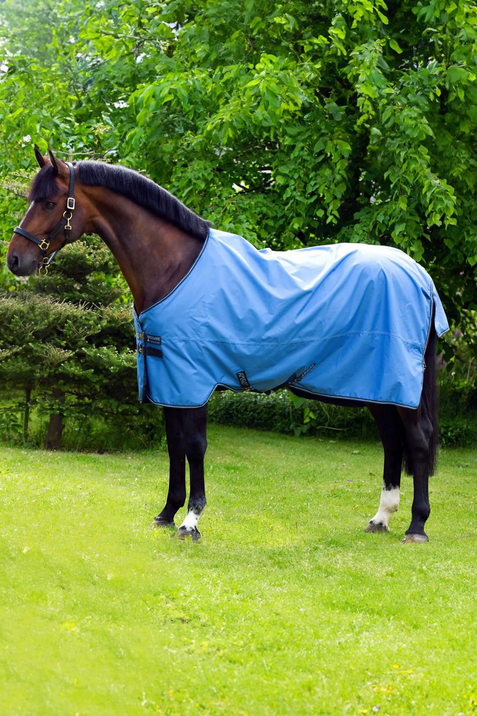 Horseware Amigo Hero 900 utedekken, 50g
