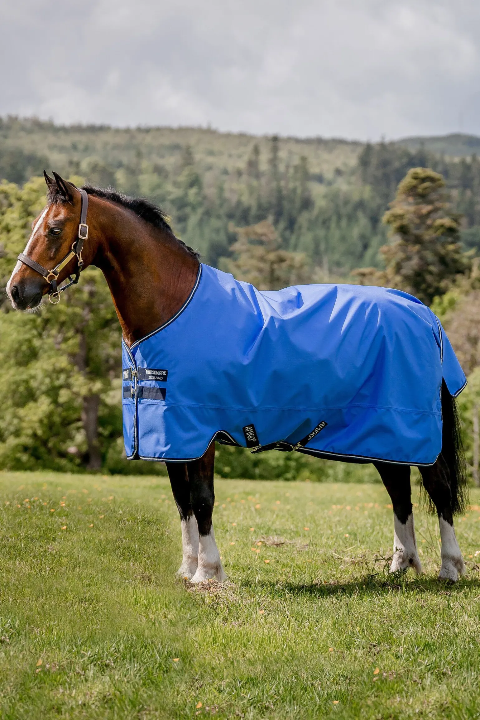 Horseware Amigo Hero Ripstop utedekken, 0g