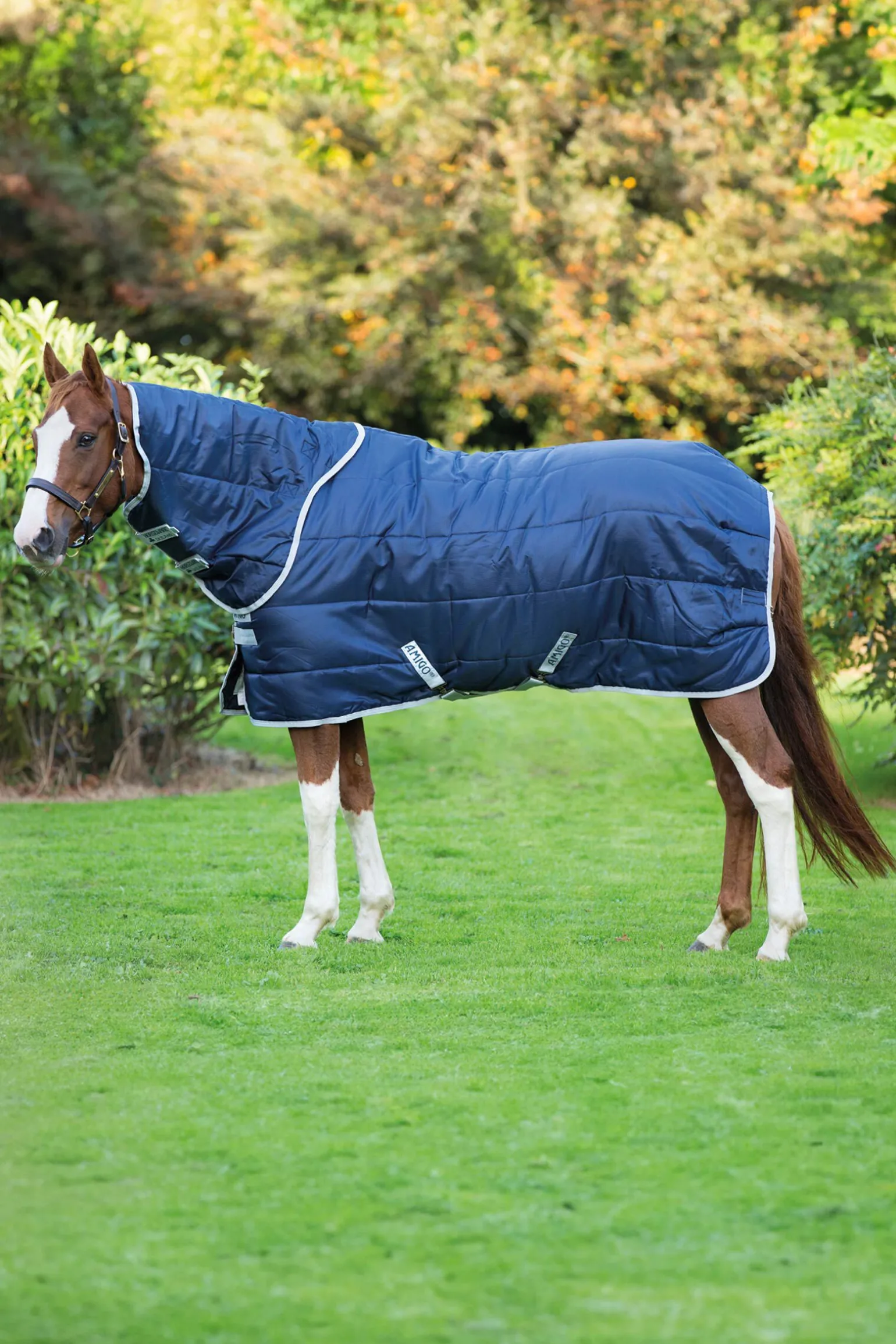 Horseware Amigo Insulator Plus Stalldekken med avtagbar hals, 200g