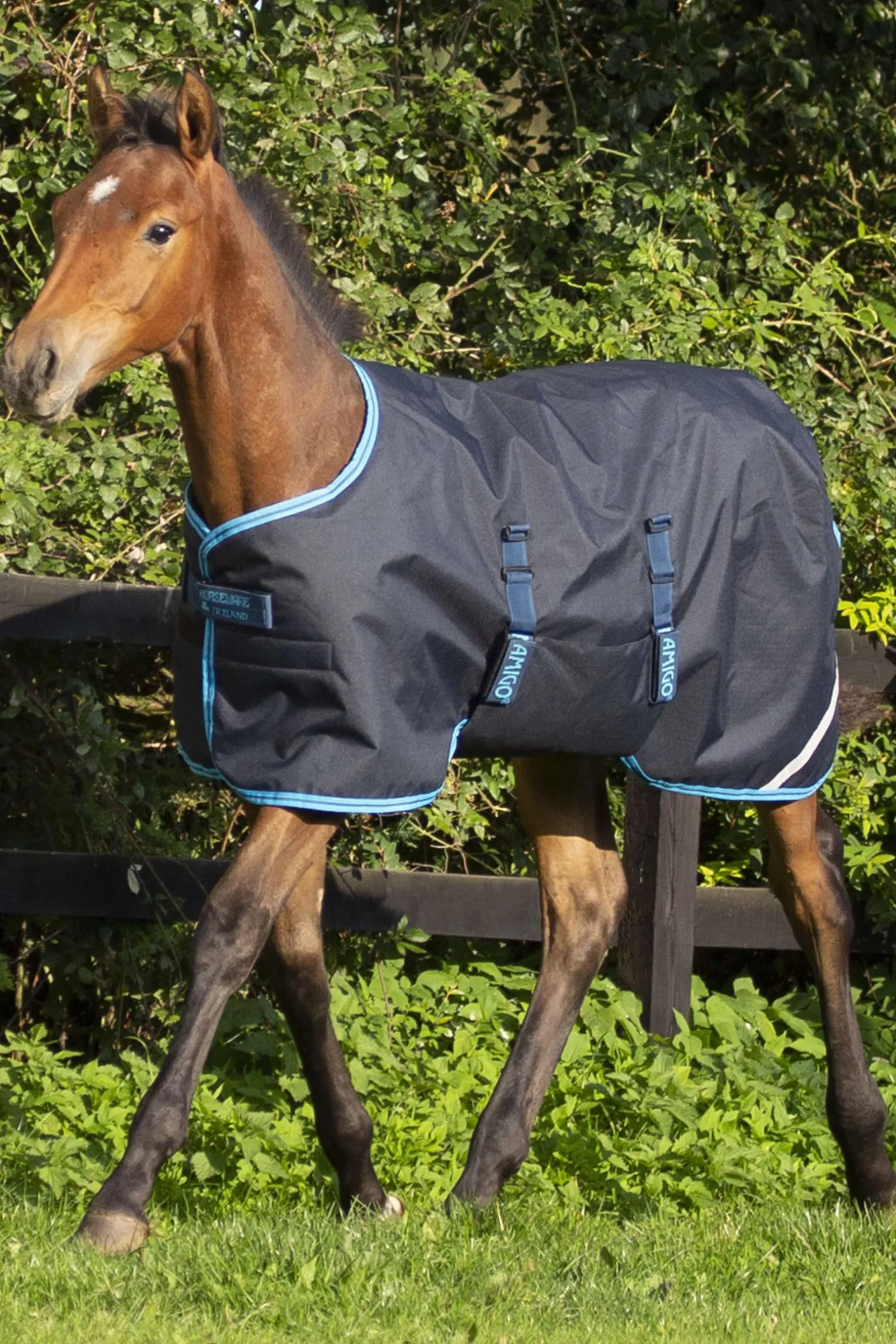 Horseware Amigo Ripstop følldekken, 50 gram