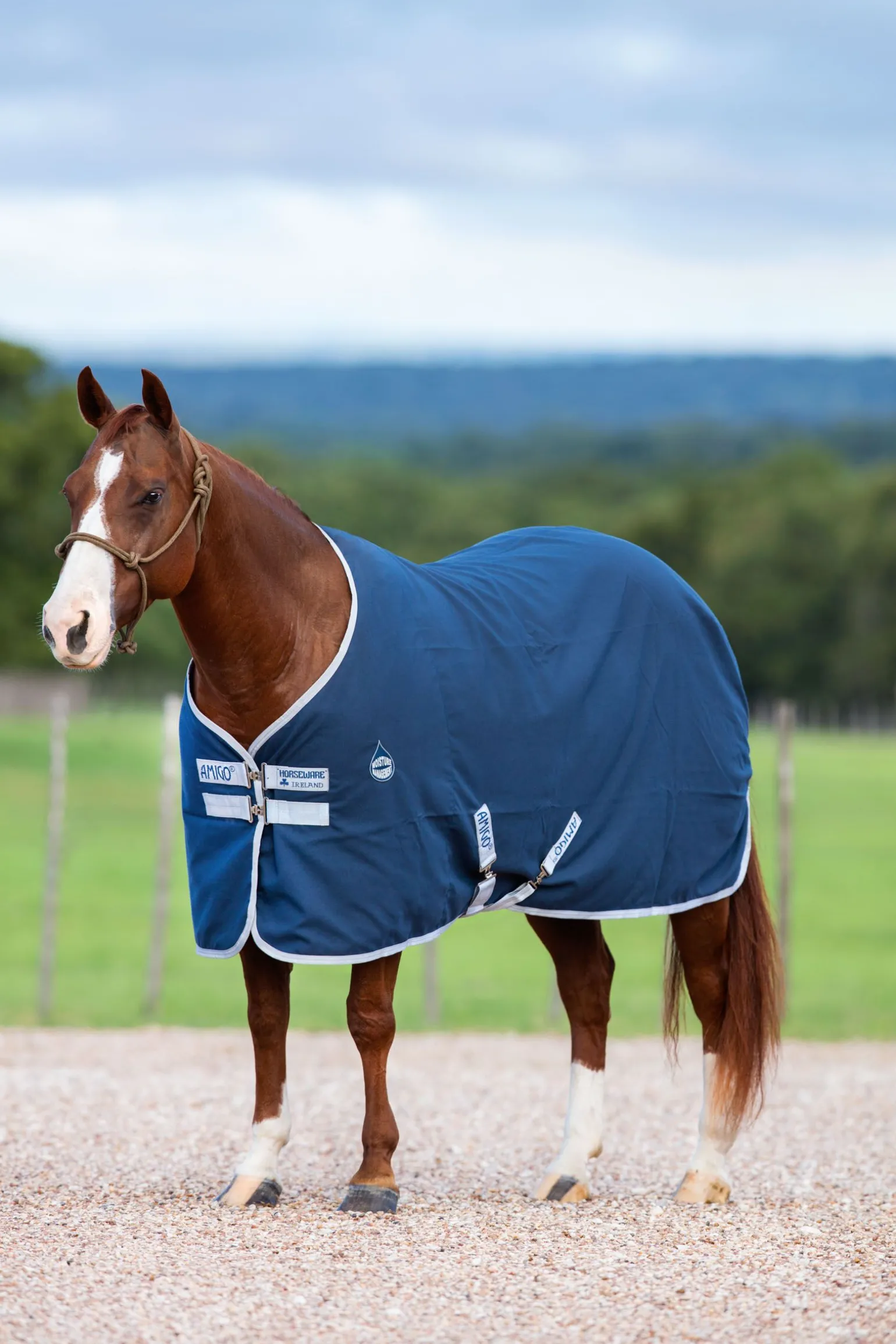 Horseware Amigo Stalldekken, 0g