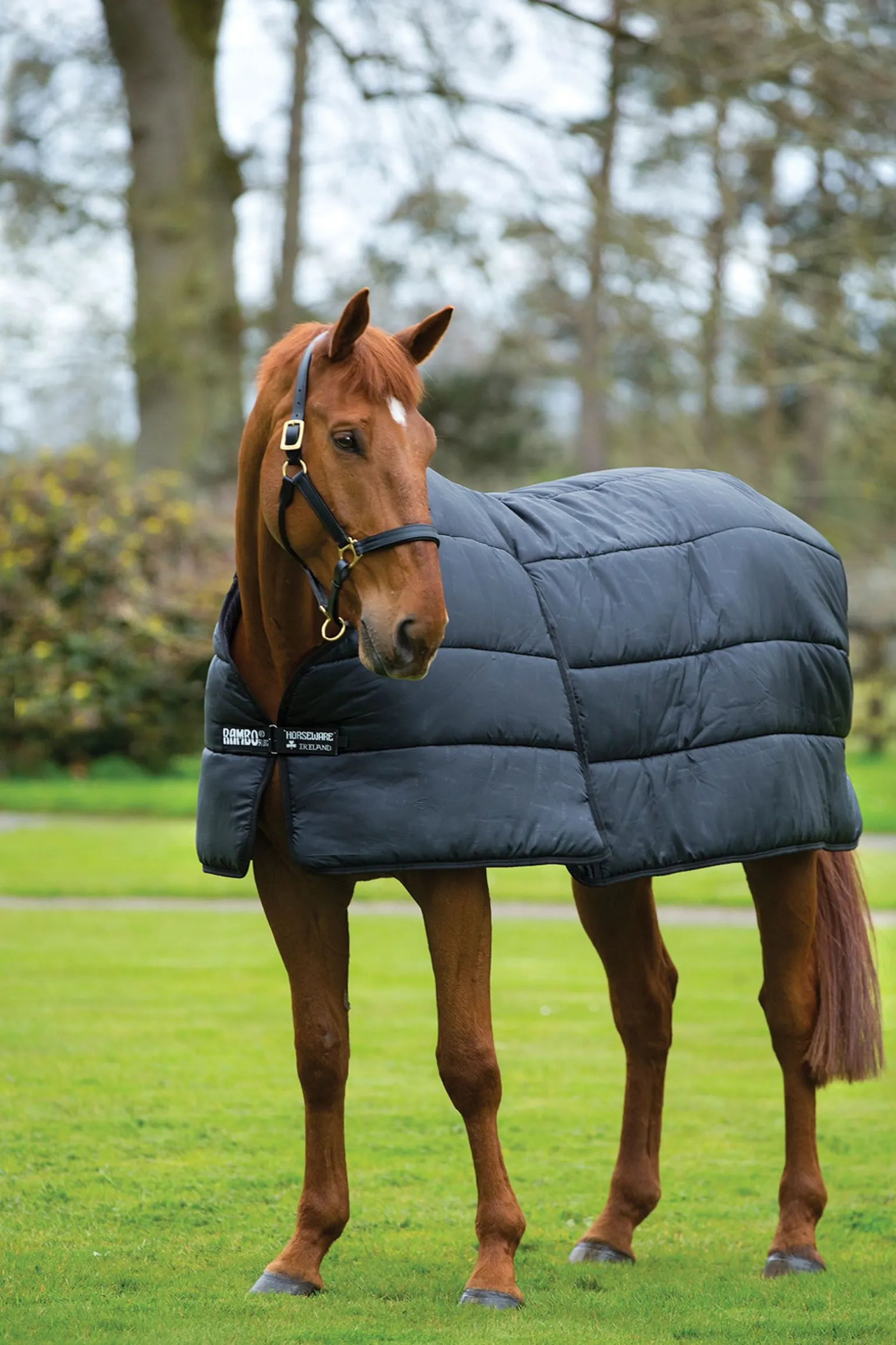 Horseware Rambo Optimo innerdekken 200g