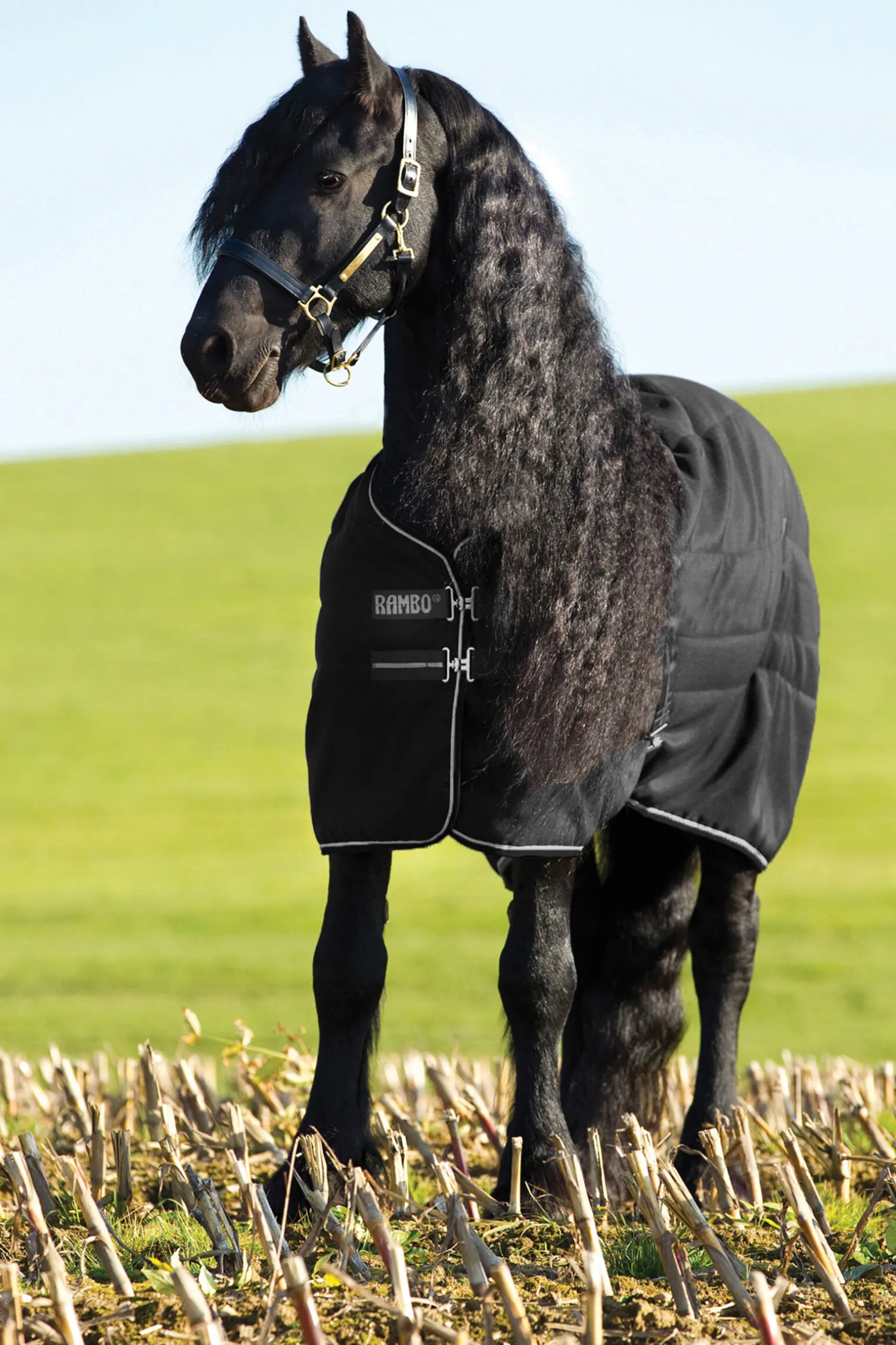 Horseware Rambo stalldekken, 200 gram