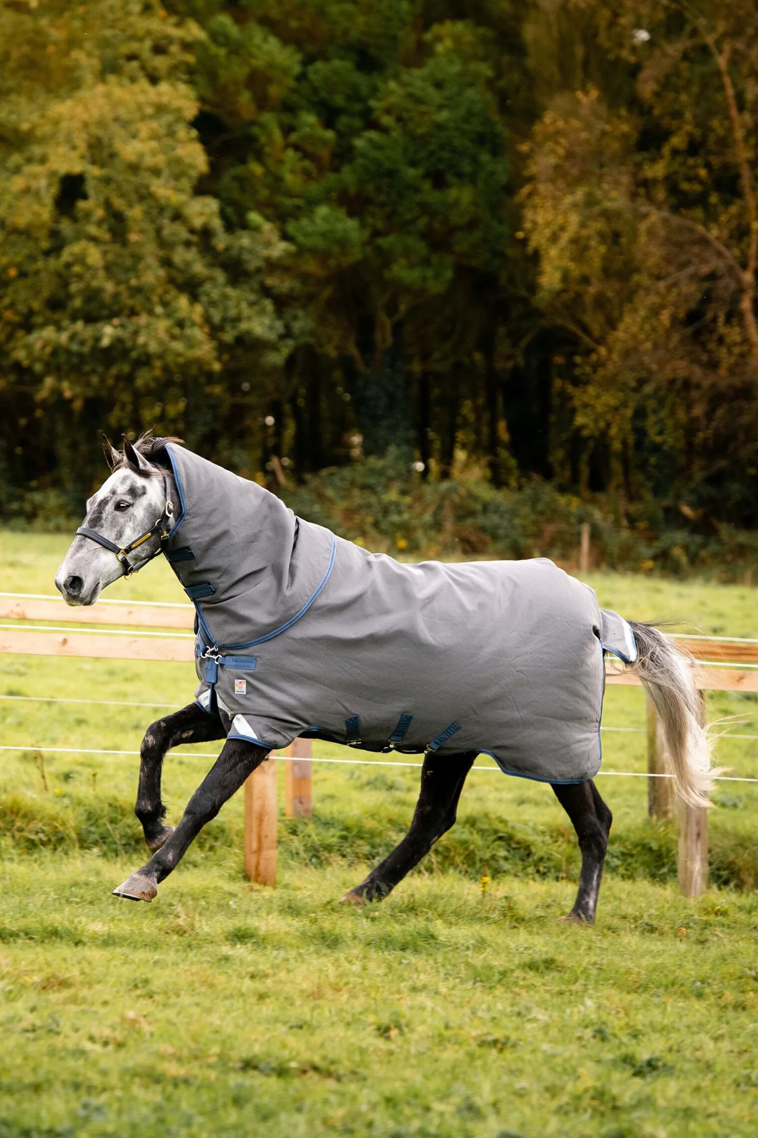 Horseware Rhino Plus HexSTOP Beitedekken, 0g