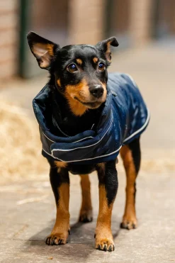 Horseware Signature Hundekappe