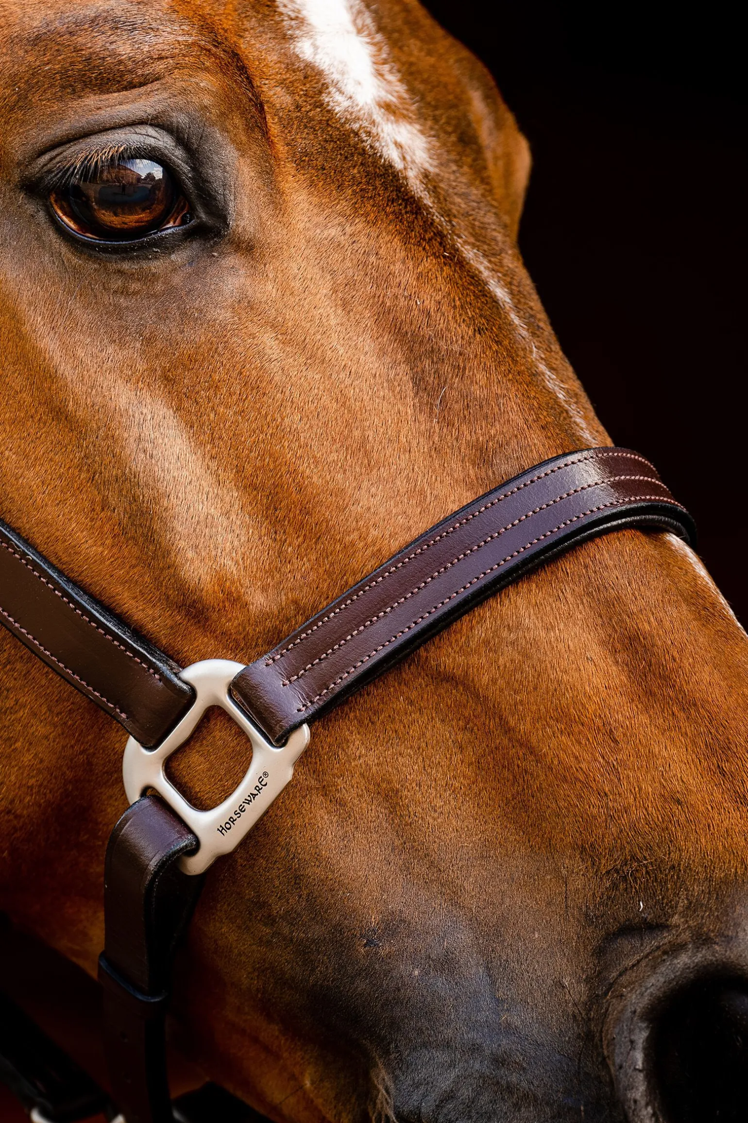 Horseware Signature-grime i lær