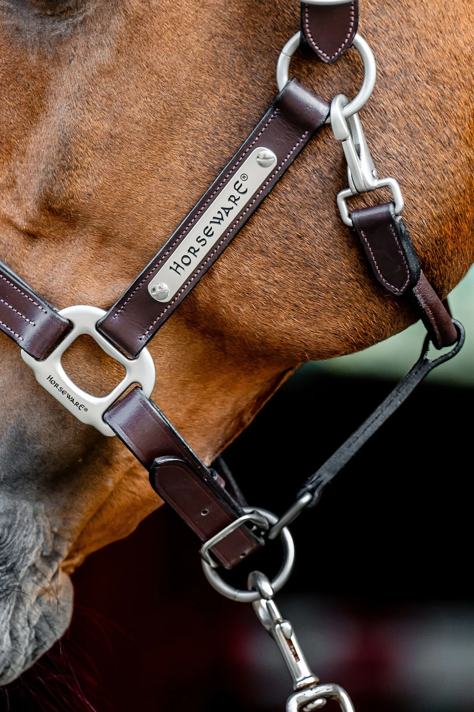 Horseware Signature-grime i lær