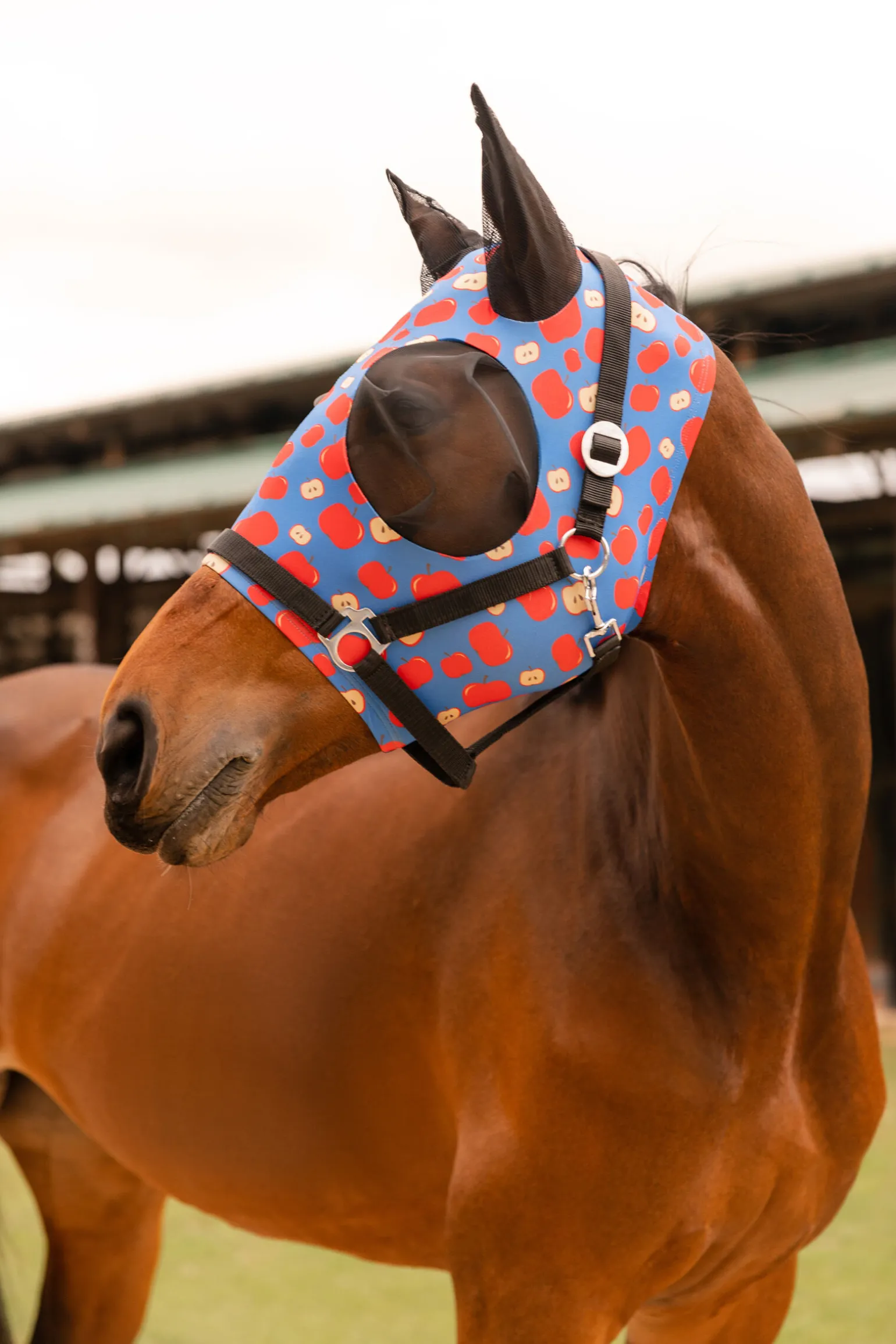 Horze Elastic Pull-On fluemaske