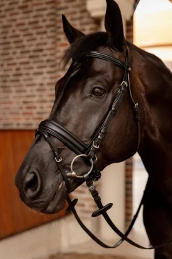 Horze Eternal Gaze Dressurhodelag