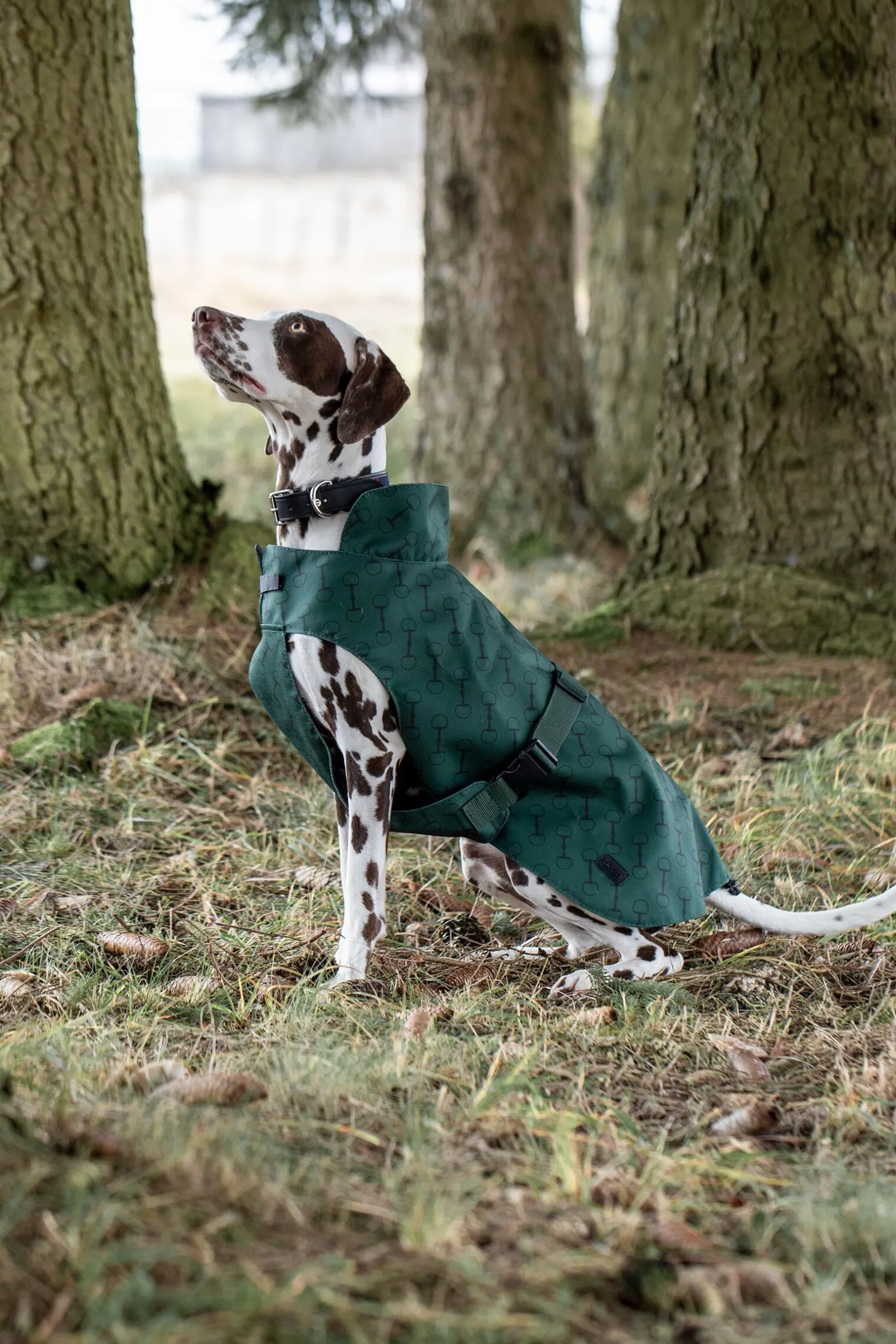 Horze Noir hundedekken med trykk