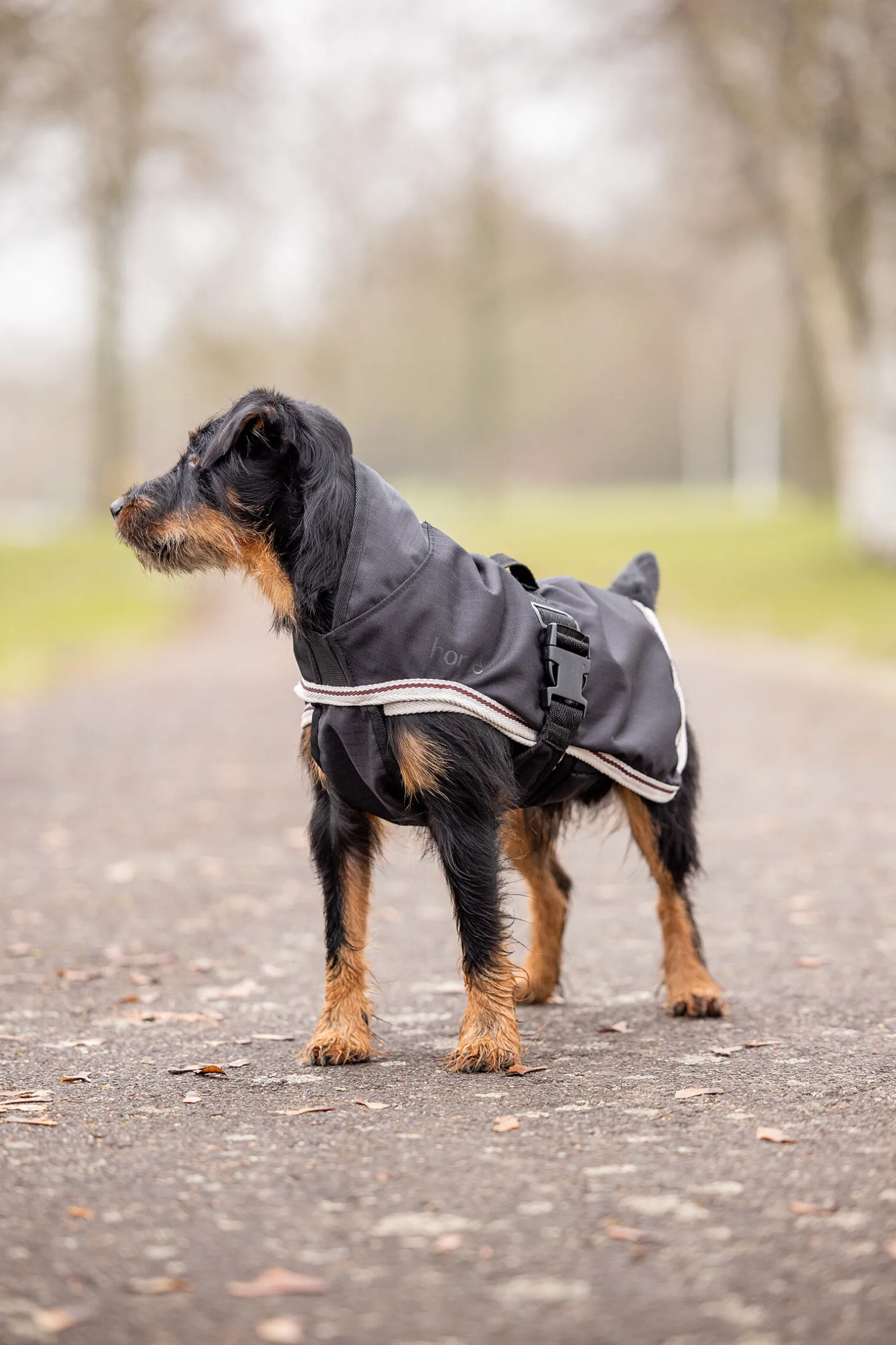 Horze Sudbury 2-i-1 hundedekken, 0 og 100 gram