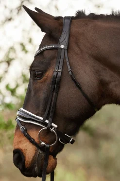Kavalkade Charlotte dressurhodelag med pullback nesereim