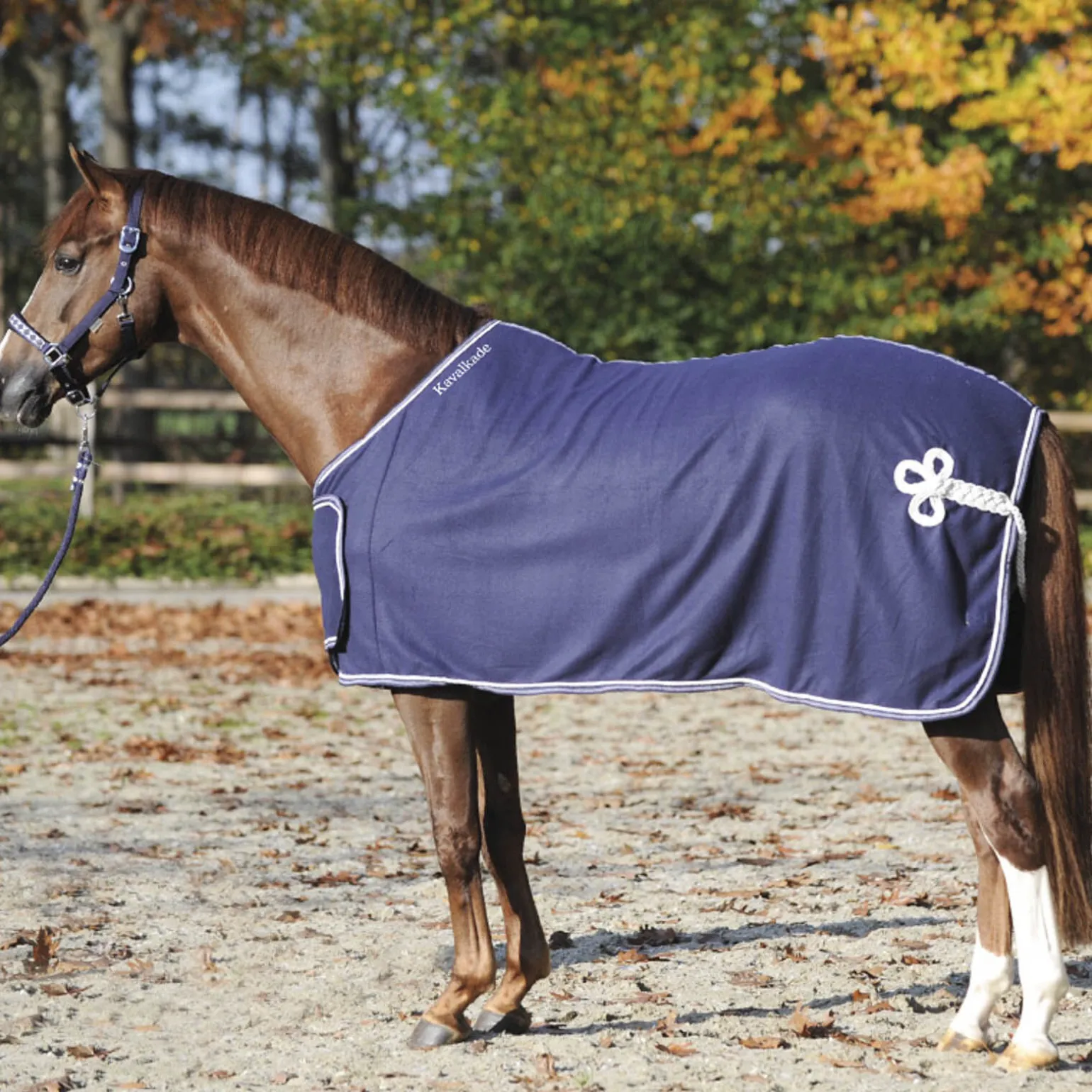 Kavalkade cooler med bryst-bib