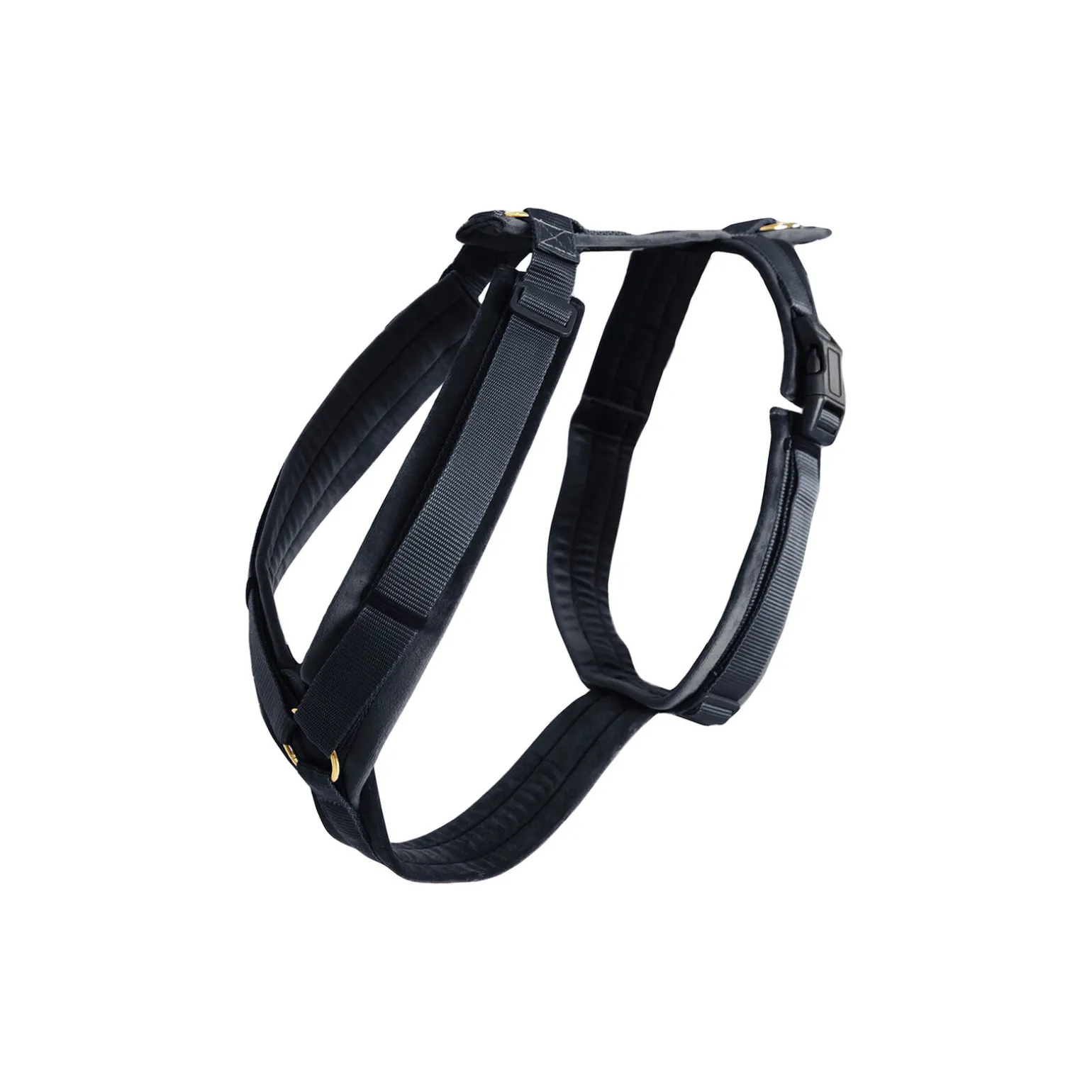 Kentucky Dogwear Active Velvet sele