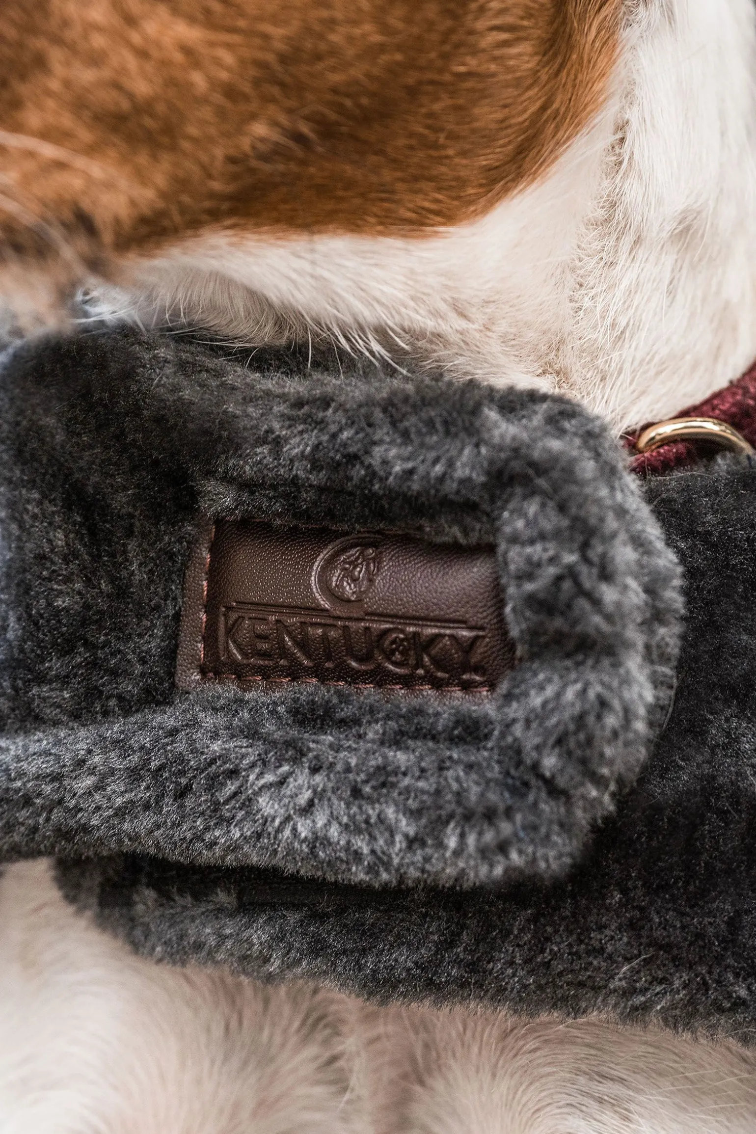 Kentucky Dogwear Fake Fur hundedekken