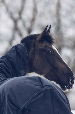 Kentucky Horsewear All Weather Classic utedekken, 300 gram