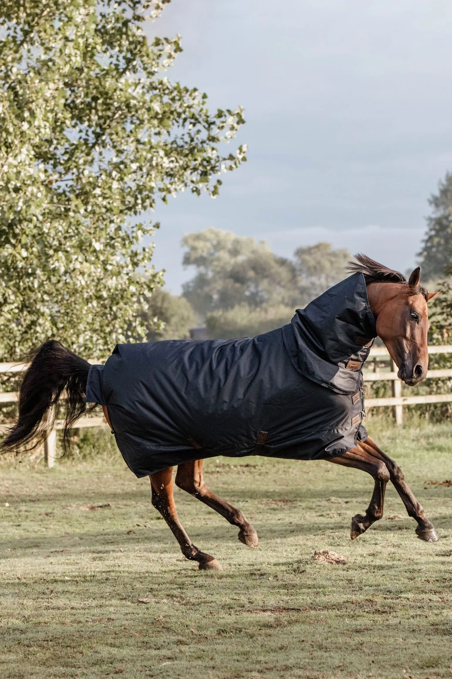 Kentucky Horsewear All Weather Classic utedekken, 150 gram