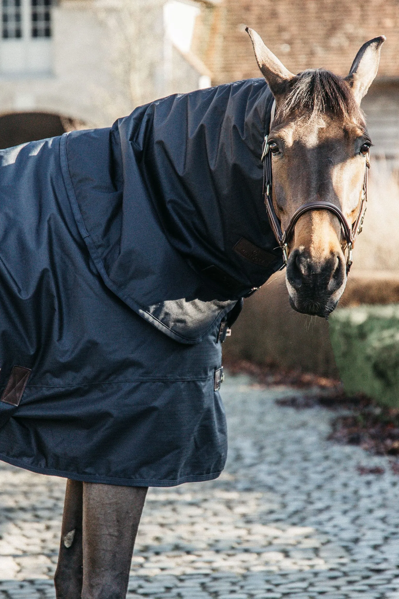 Kentucky Horsewear All Weather Classic utedekken, 150 gram