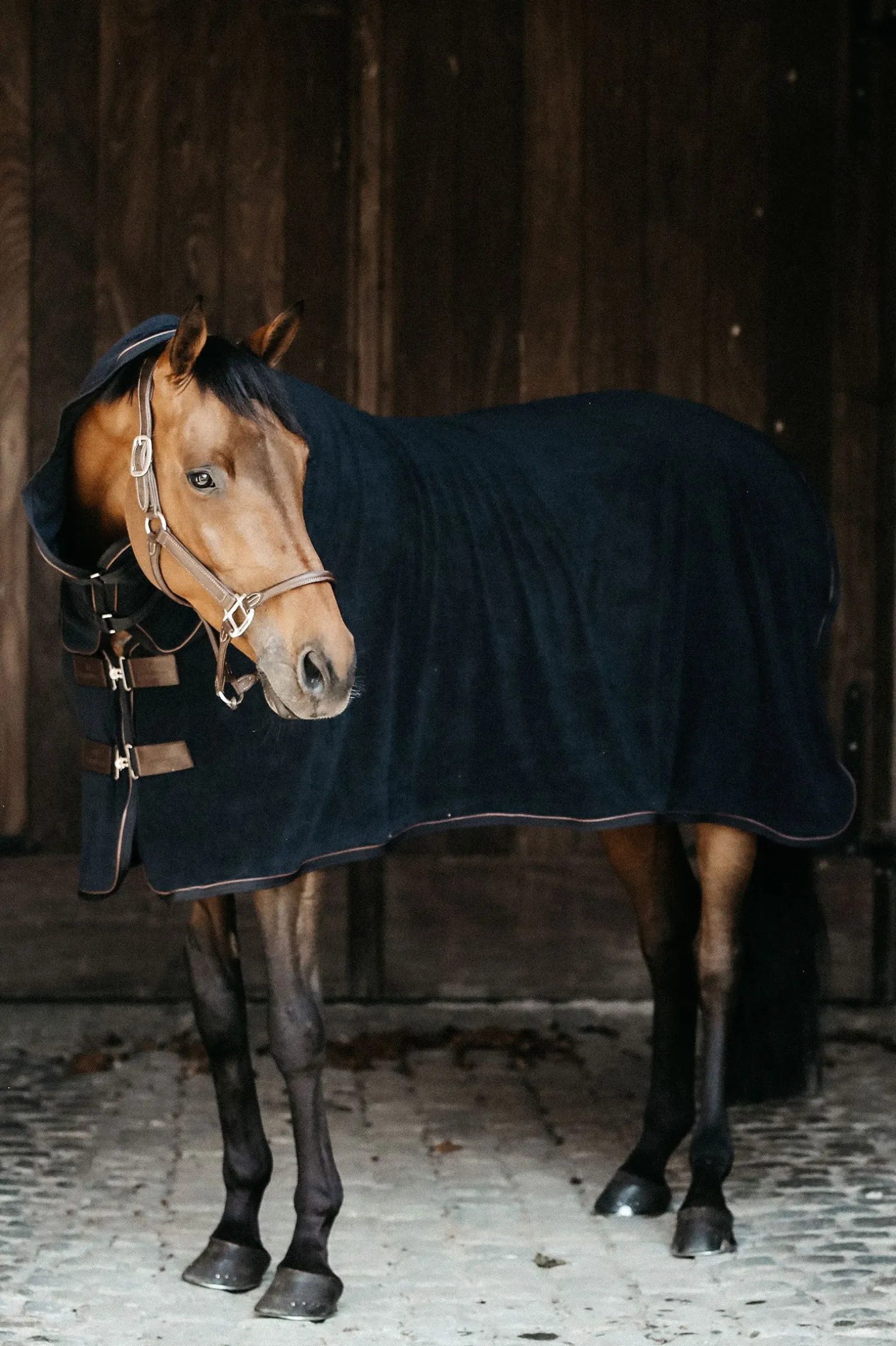 Kentucky Horsewear håndkledekken