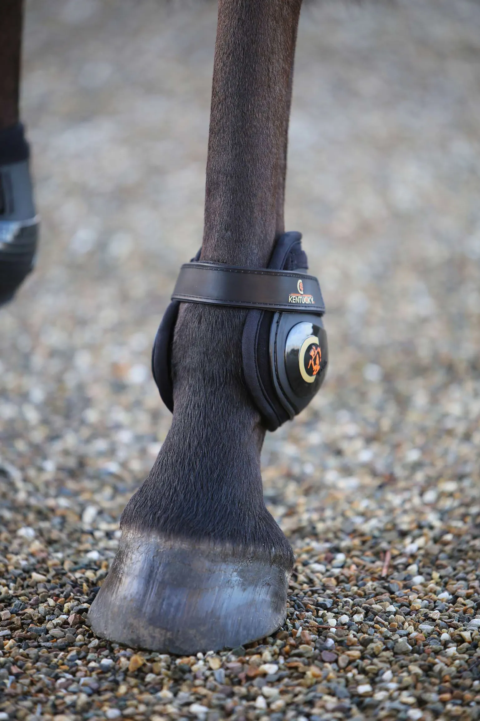 Kentucky Horsewear Moonboots, bakbein