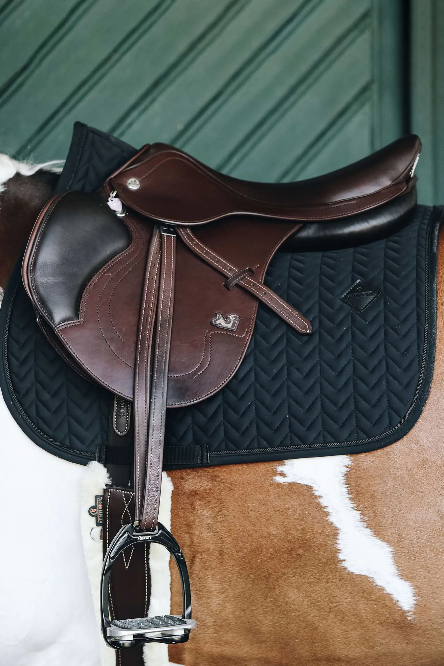 Kentucky Horsewear sprangsjabrak, fiskebein