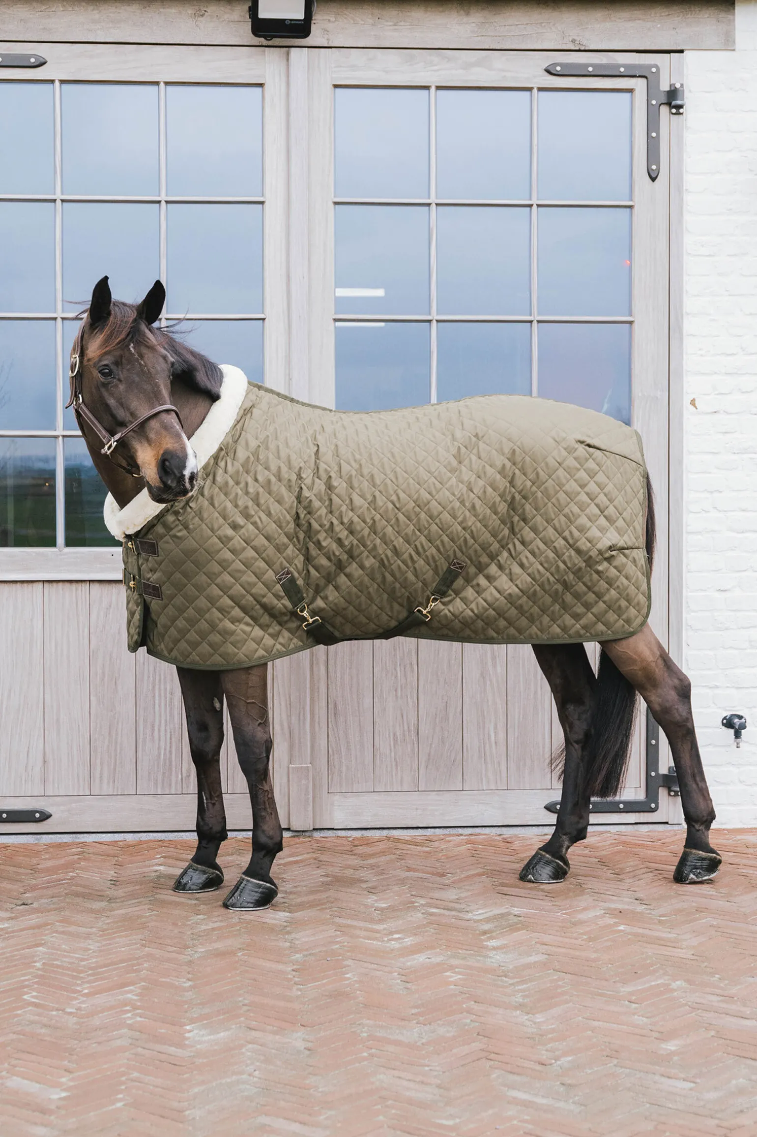 Kentucky Horsewear stevnedekken, 160 gram