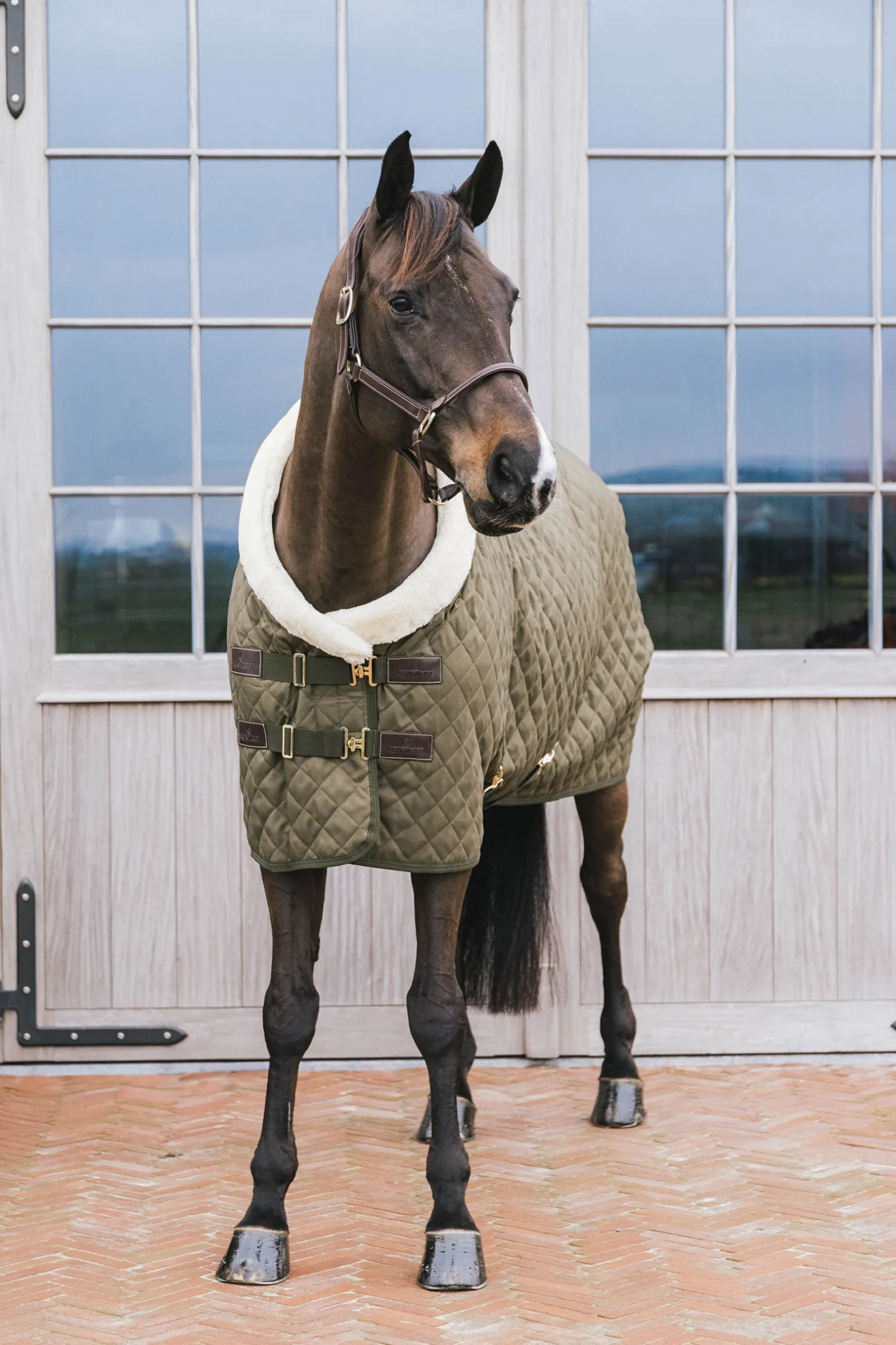 Kentucky Horsewear stevnedekken, 160 gram