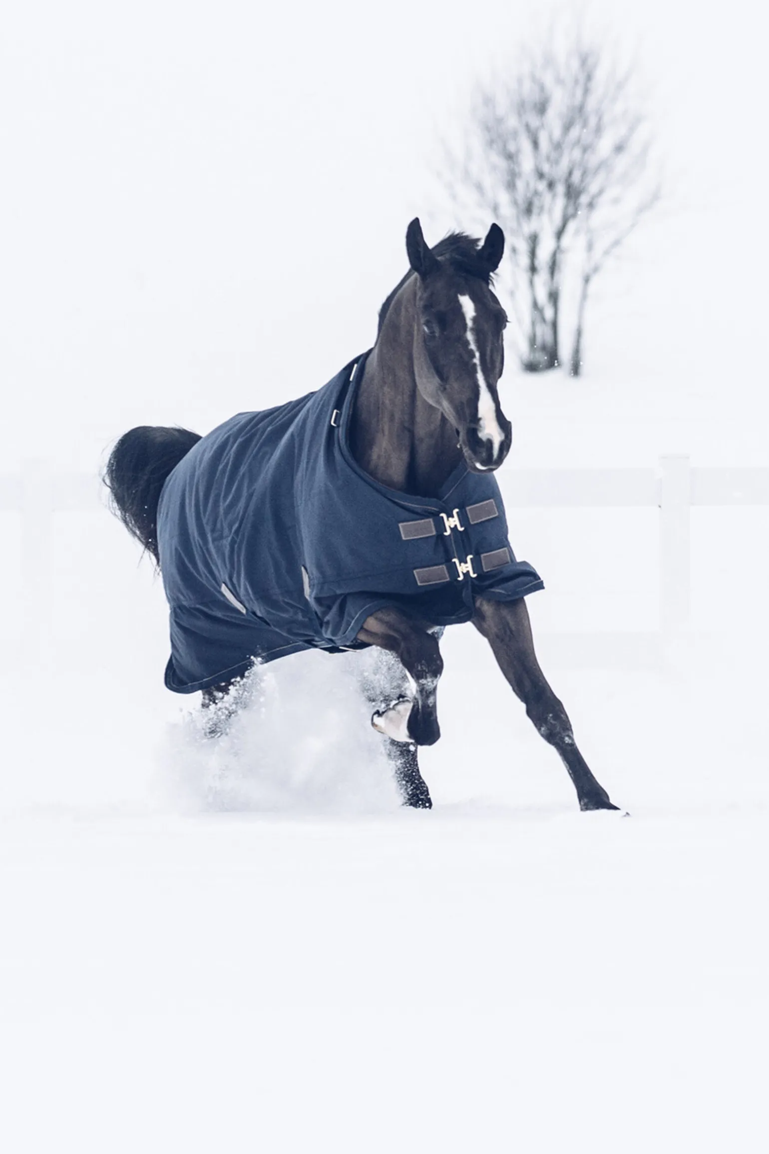 Kentucky Horsewear Tiny All Weather utedekken, 300 gram