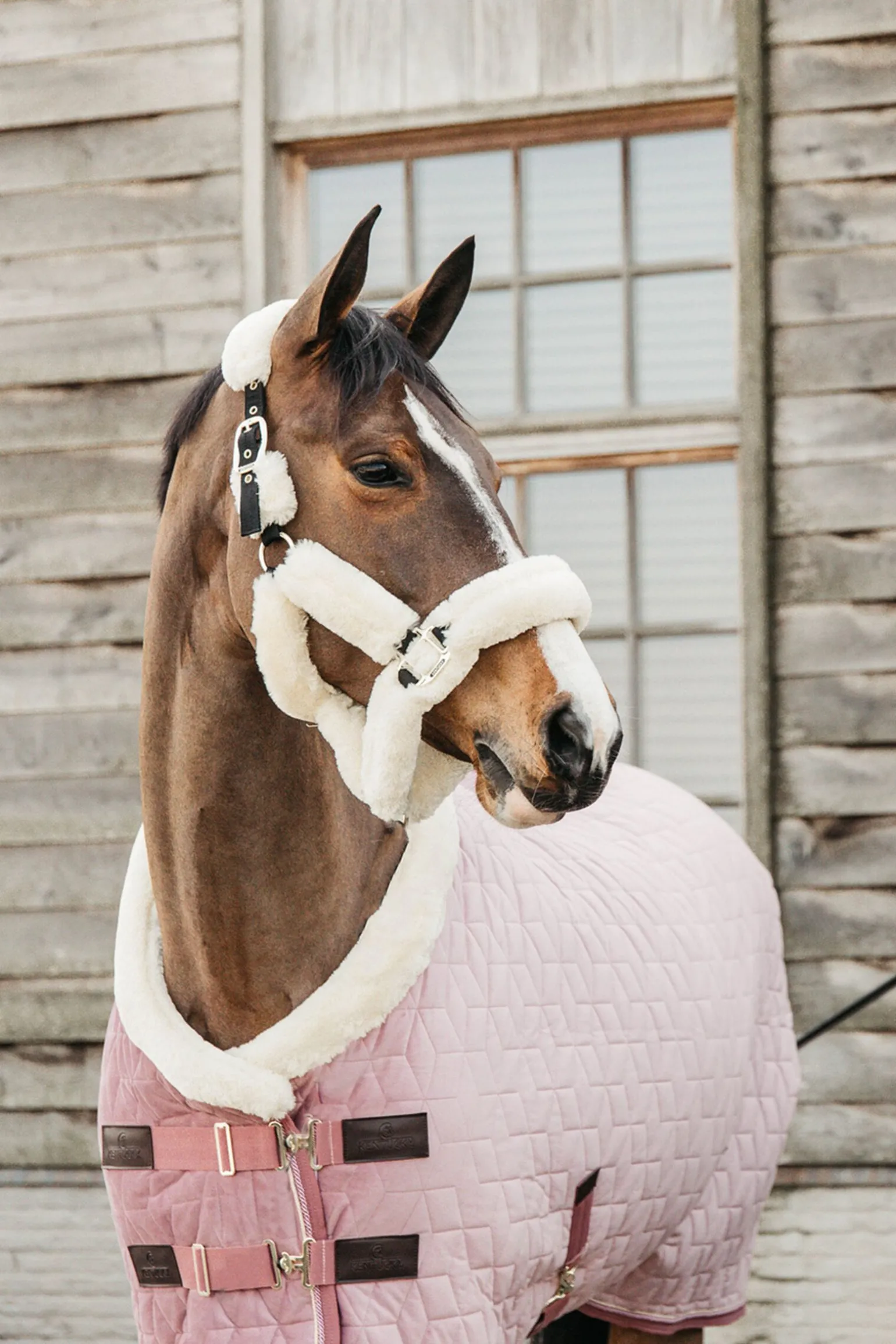 Kentucky Horsewear Velvet stevnedekken, 160 gram